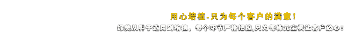 用心培植-只為每個客戶滿意！